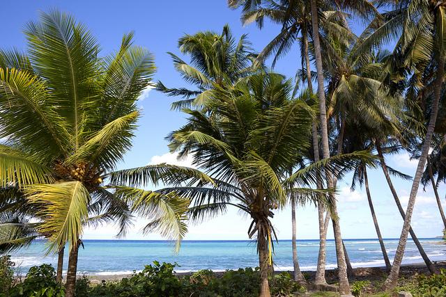 Beach-Jamal-Guantanamo-Cuba.jpg