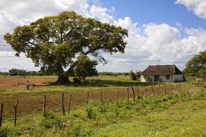 pinar-del-rio-farm.jpg